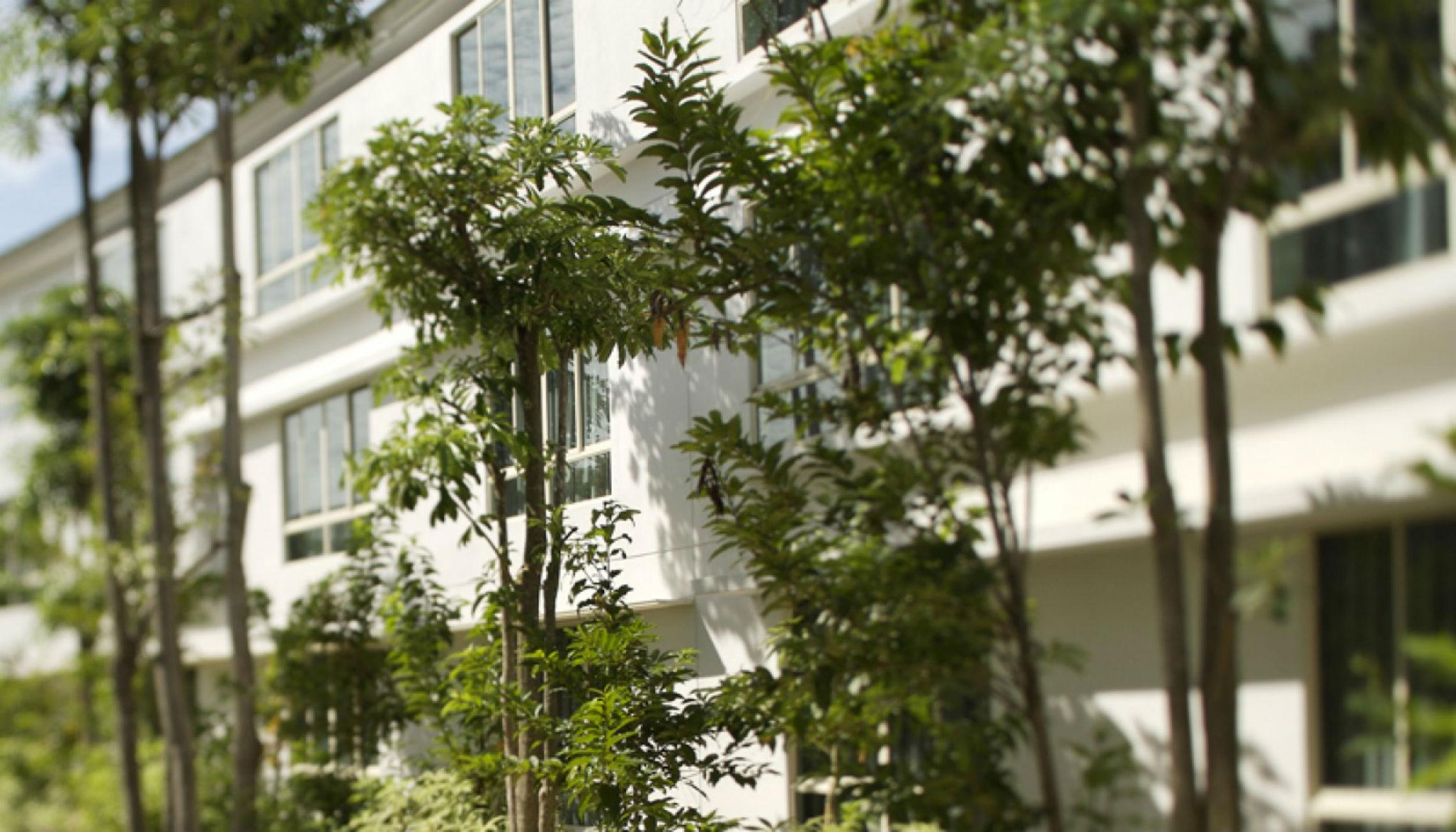 Amara Sanctuary Resort Sentosa Singapore Exterior photo